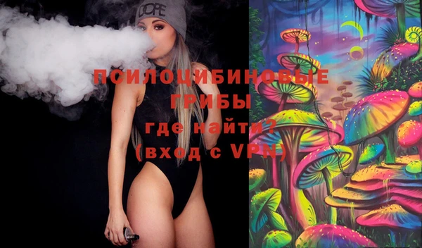 первитин Ельня