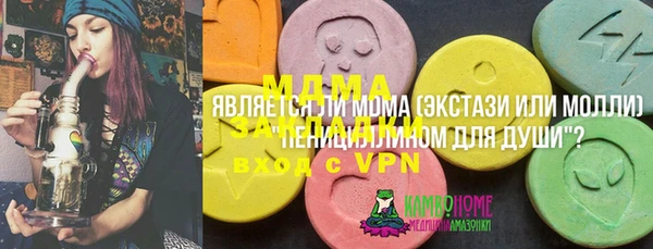 первитин Ельня