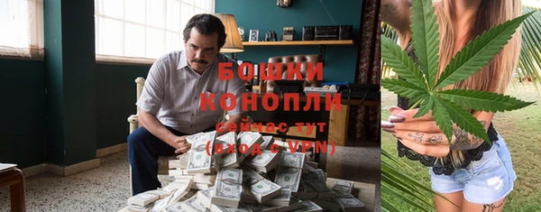 первитин Ельня